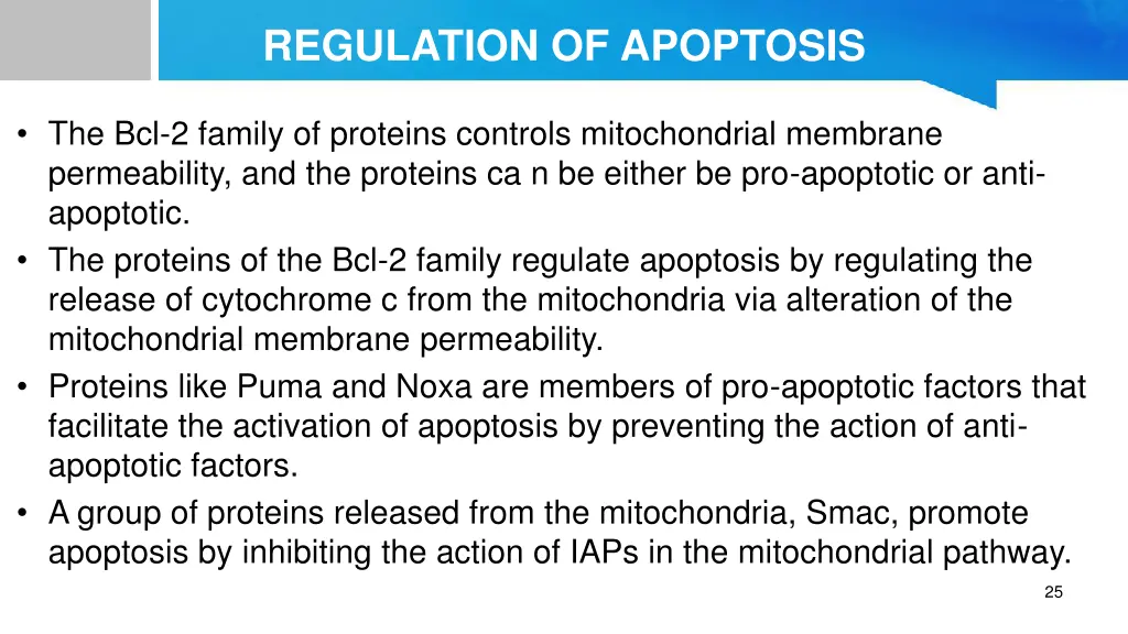 regulation of apoptosis 1