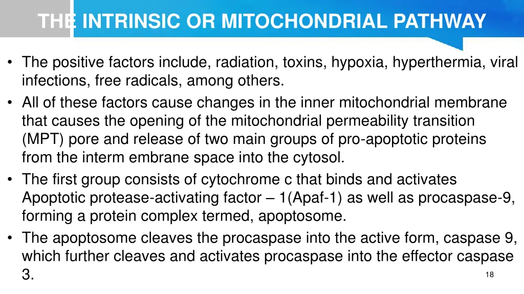 the intrinsic or mitochondrial pathway 1