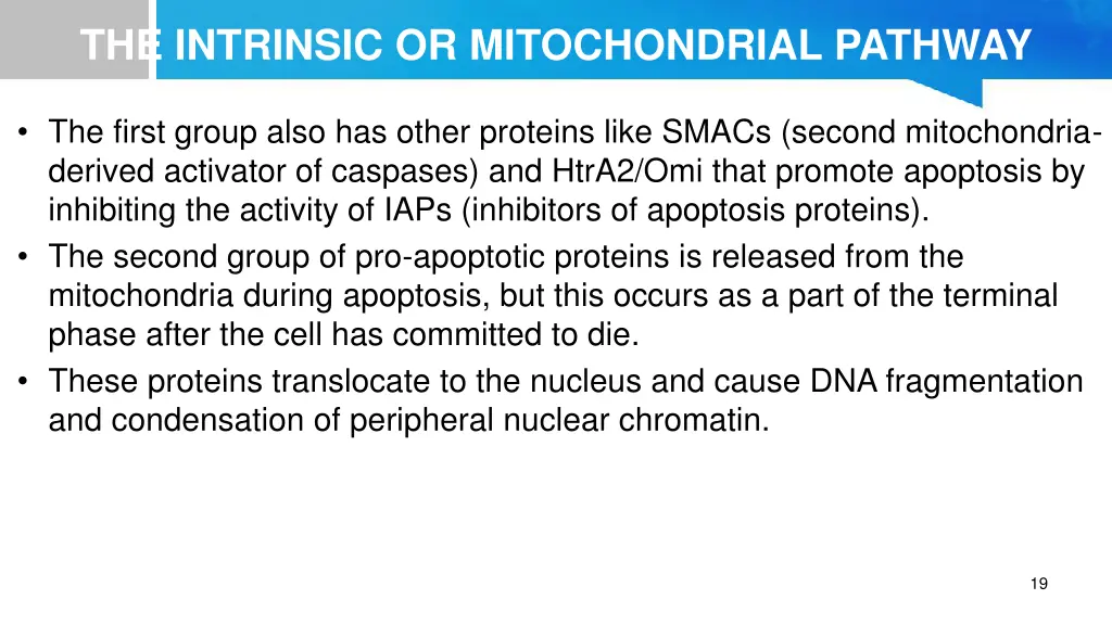 the intrinsic or mitochondrial pathway 2