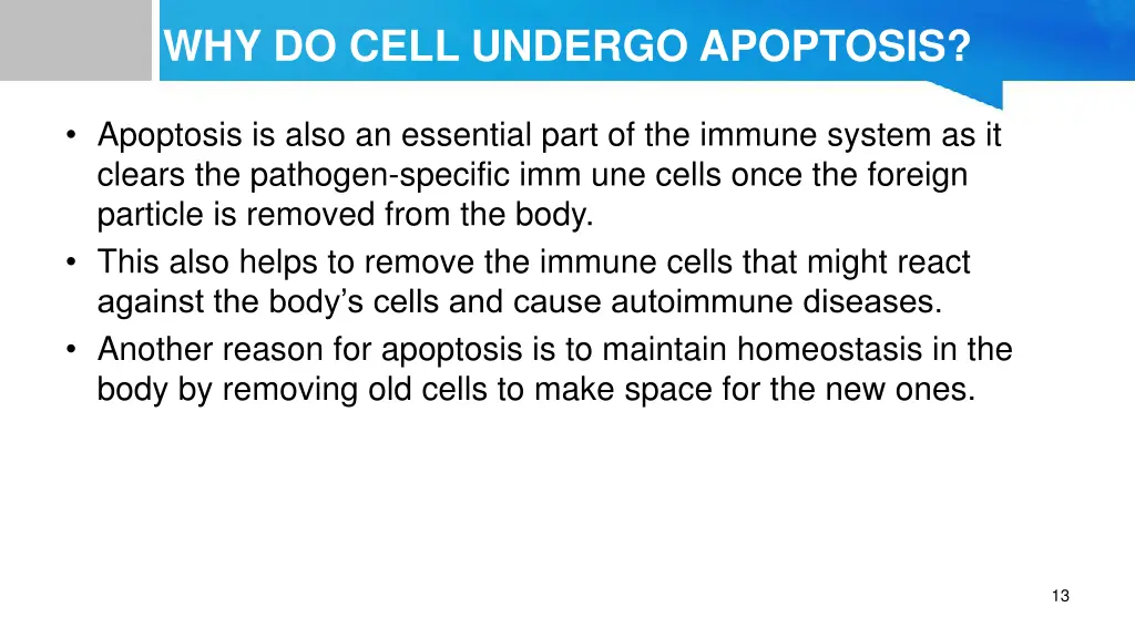 why do cell undergo apoptosis 1
