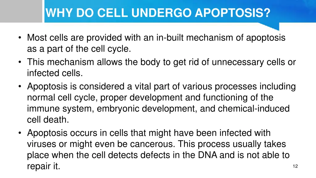 why do cell undergo apoptosis