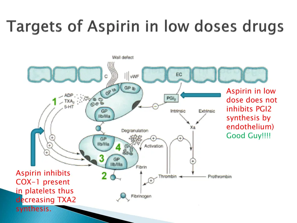 aspirin in low dose does not inhibits pgi2