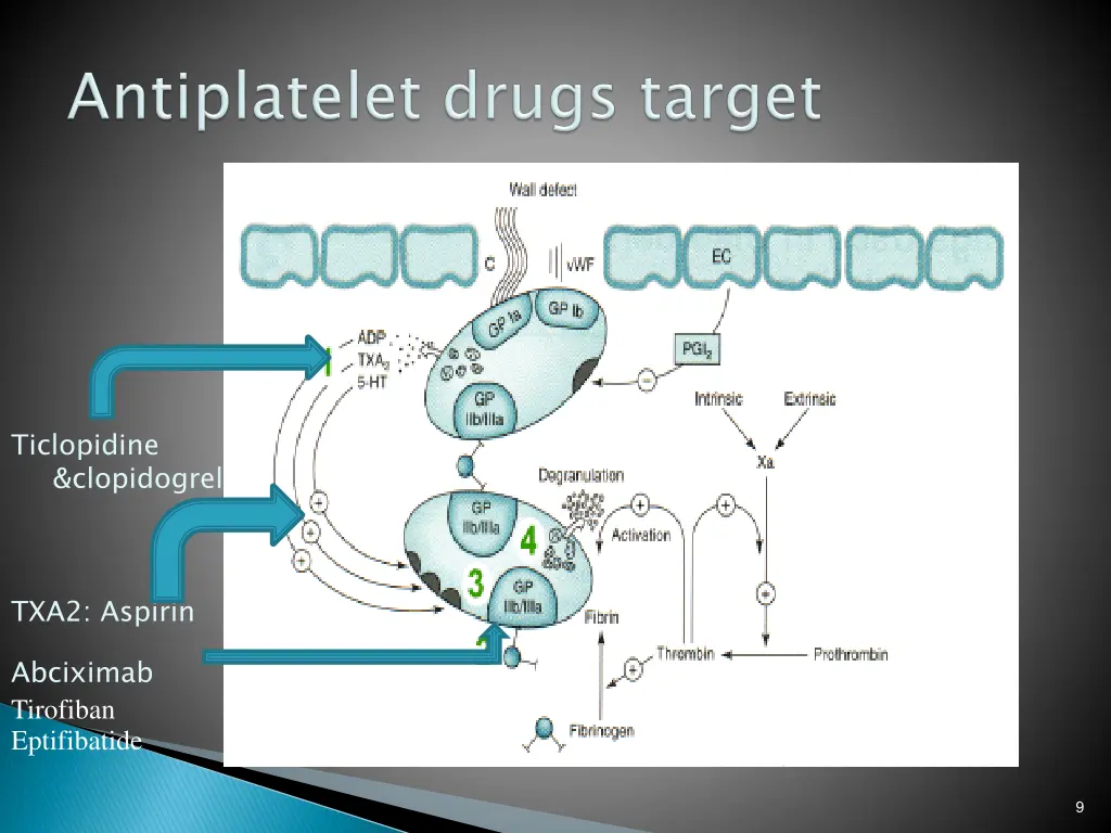 ticlopidine clopidogrel