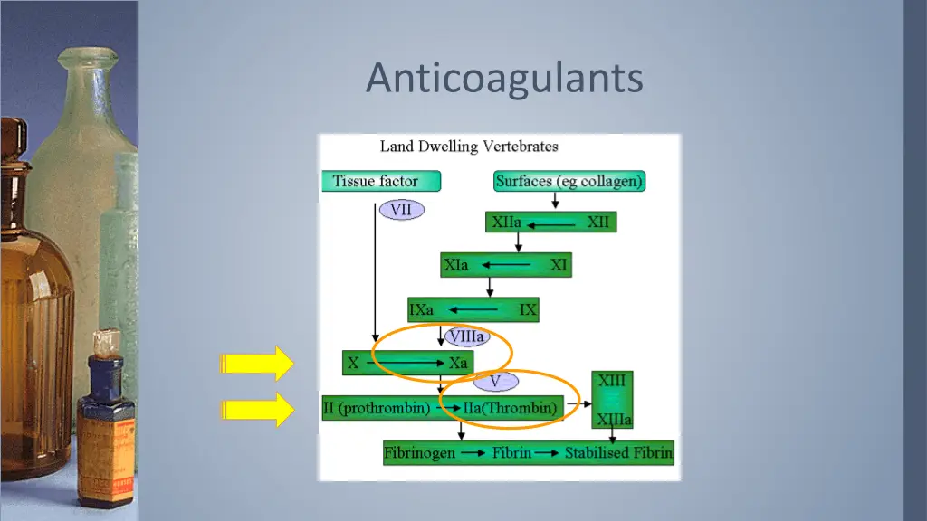 anticoagulants 15