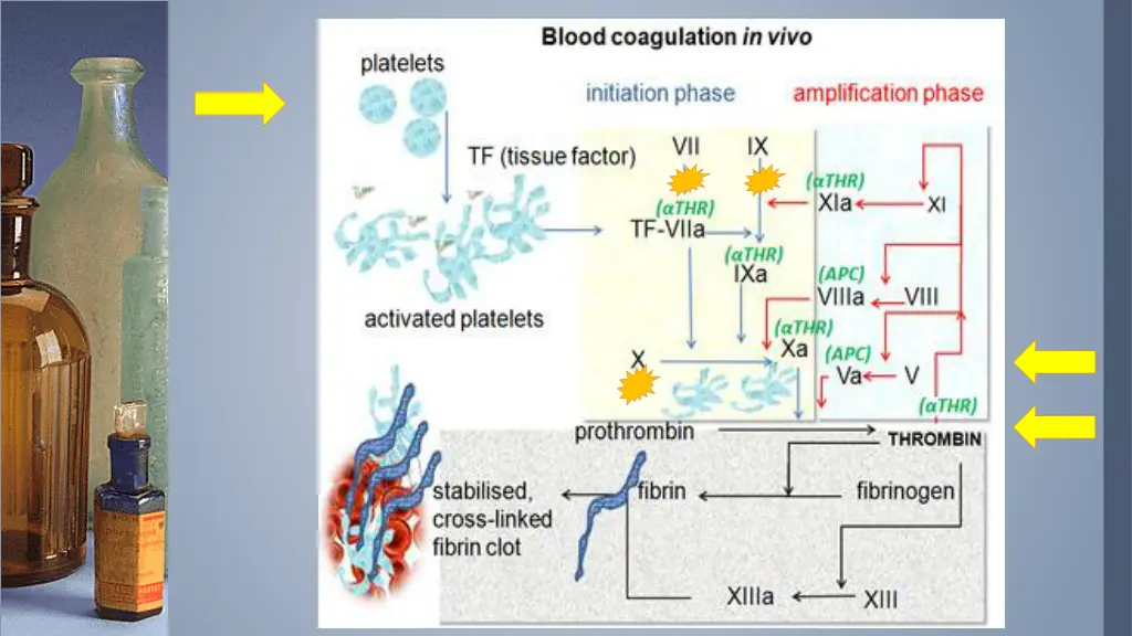 slide9