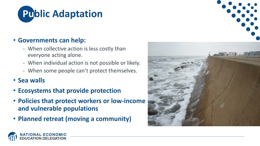 public adaptation