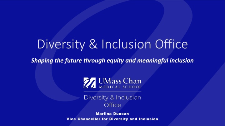 diversity inclusion office