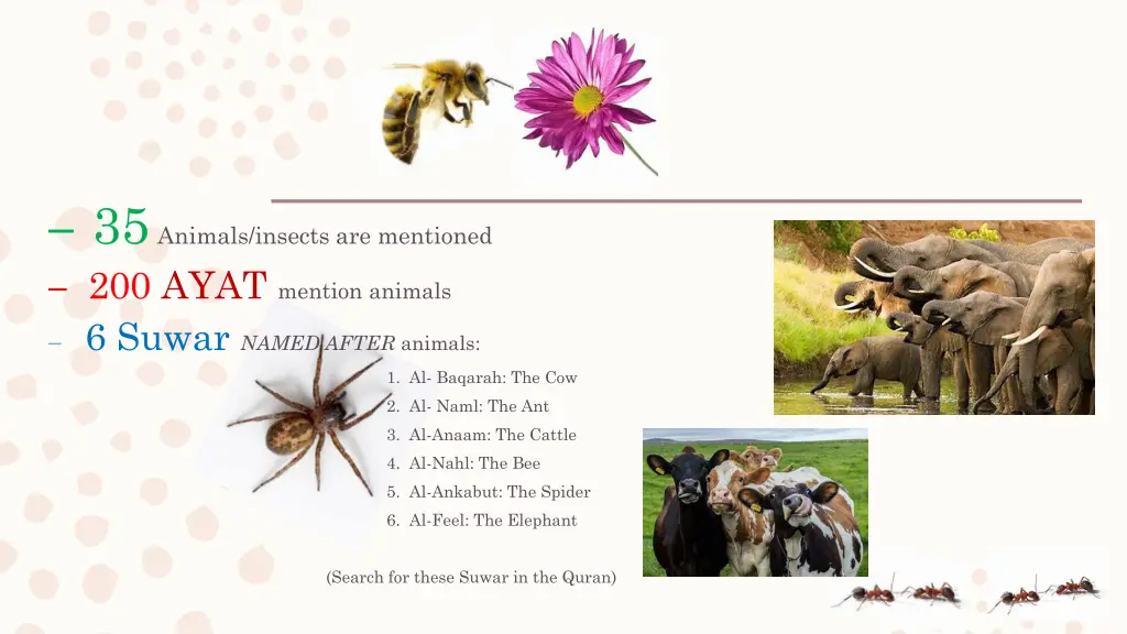 35 animals insects are mentioned 200 ayat mention