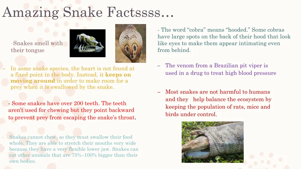 amazing snake factssss