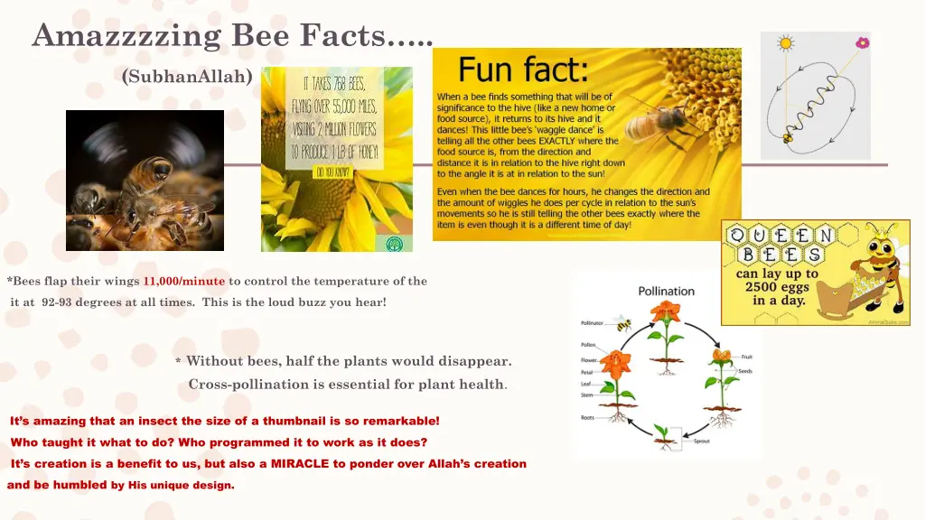 amazzzzing bee facts subhanallah