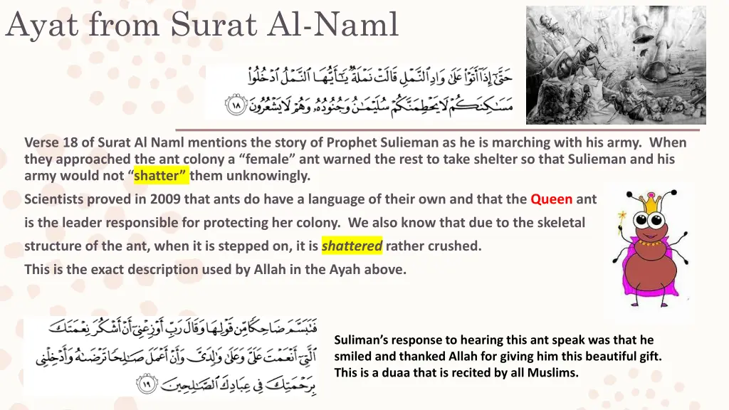 ayat from surat al naml