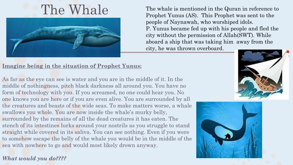 the whale