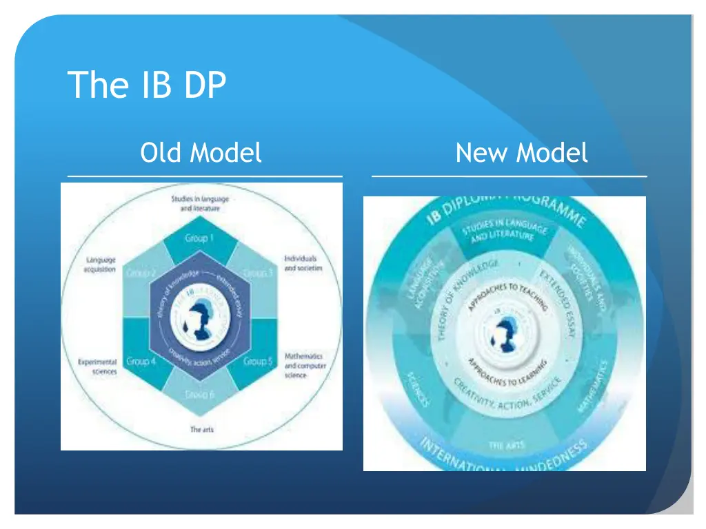 the ib dp