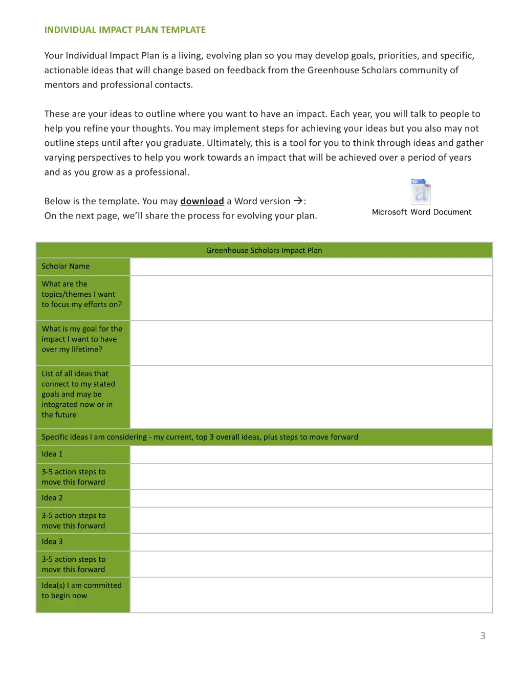 individual impact plan template