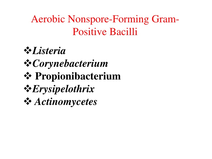 aerobic nonspore forming gram positive bacilli