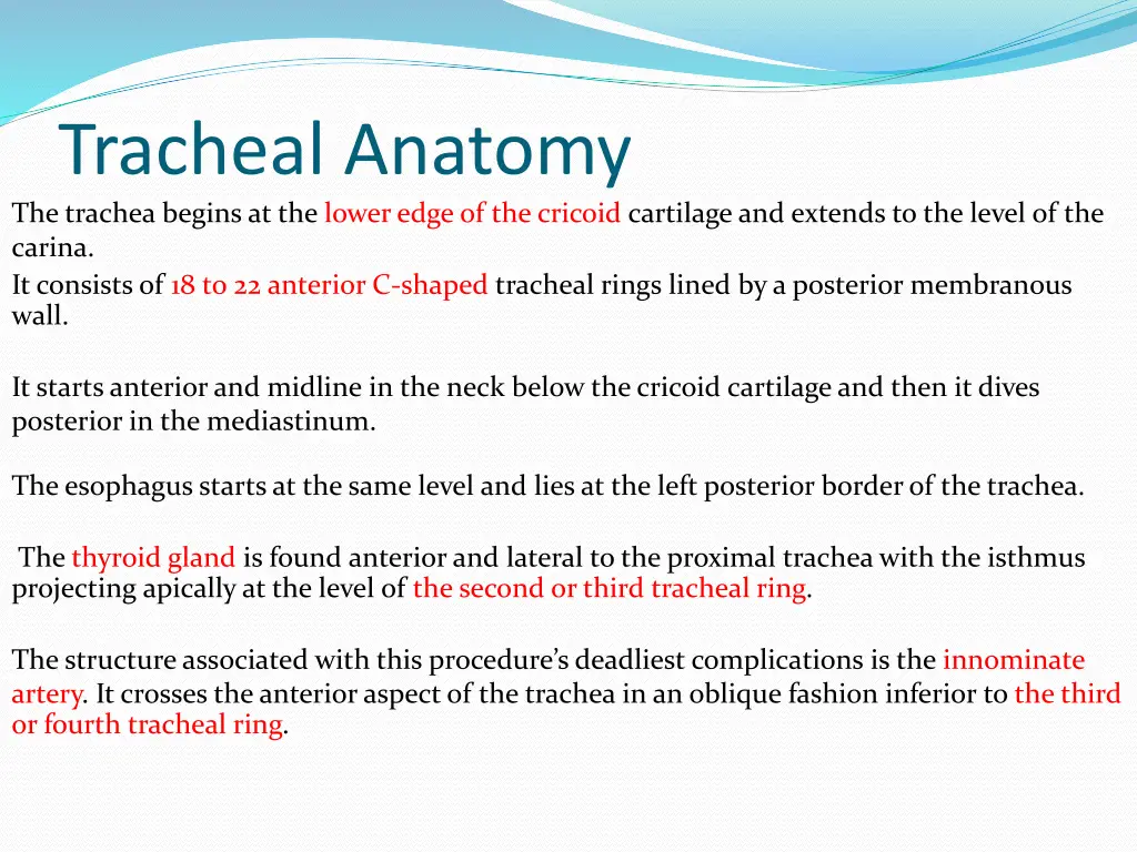 tracheal anatomy the trachea begins at the lower