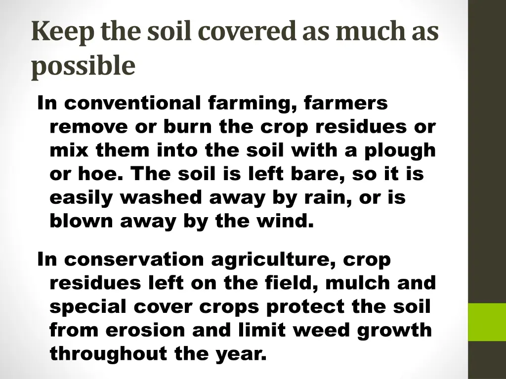 keep the soil covered as much as possible
