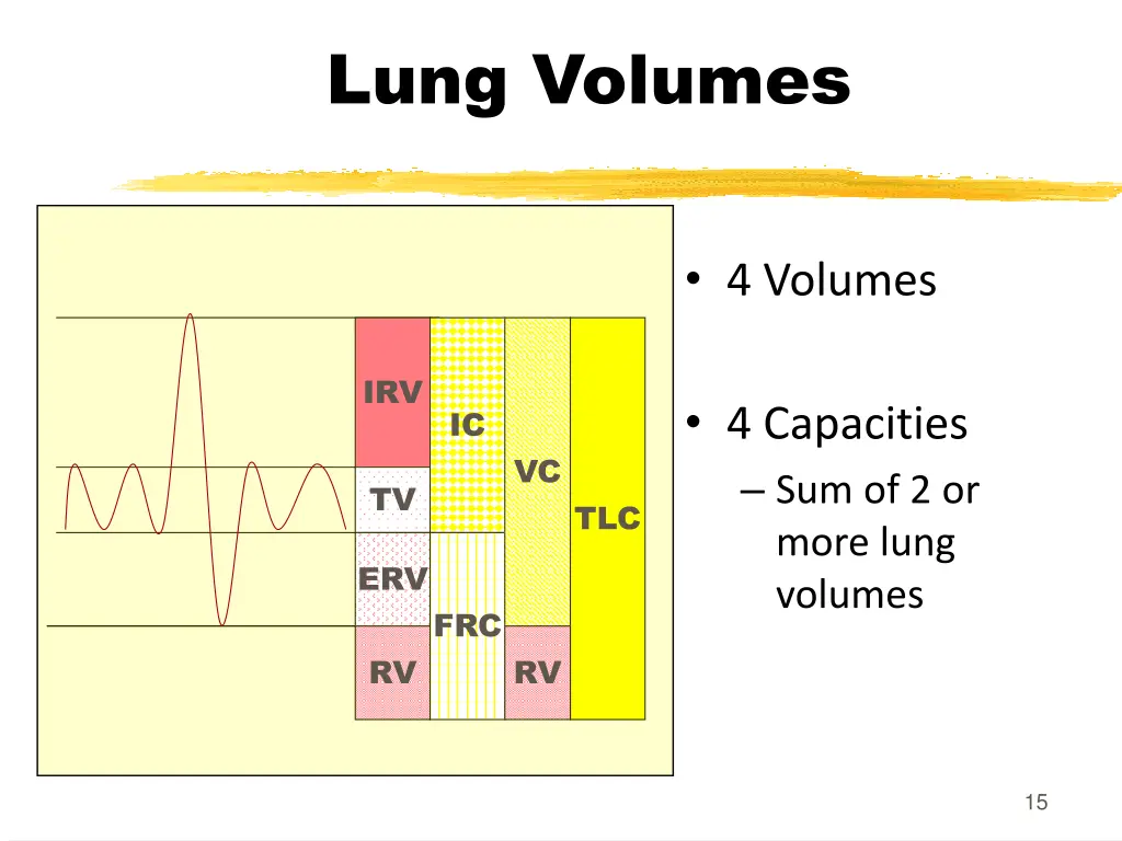 lung volumes 1