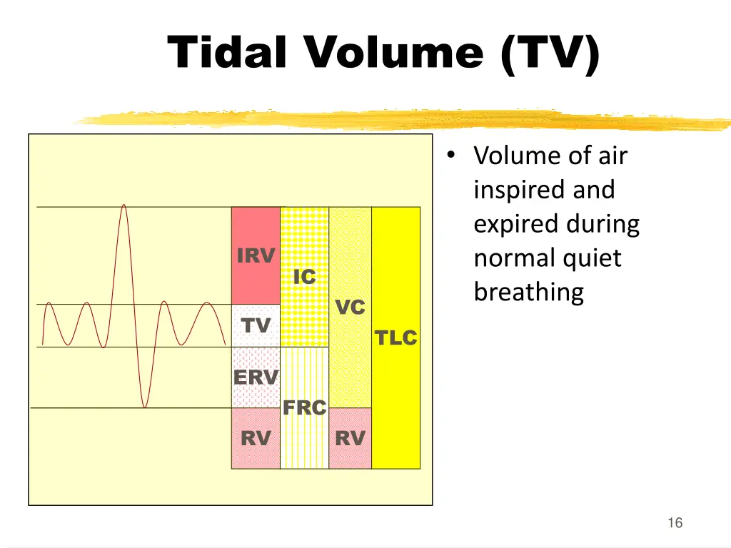 tidal volume tv