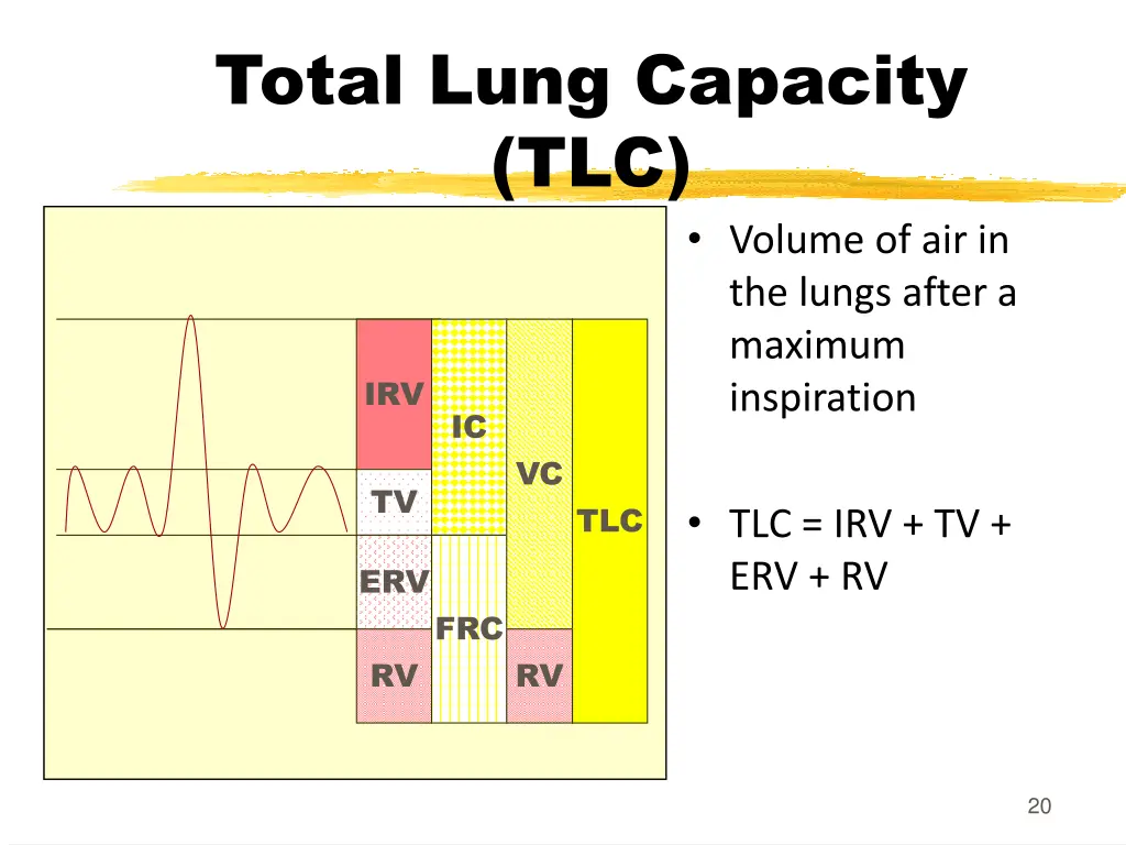 total lung capacity tlc