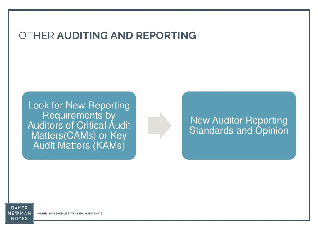 other auditing and reporting