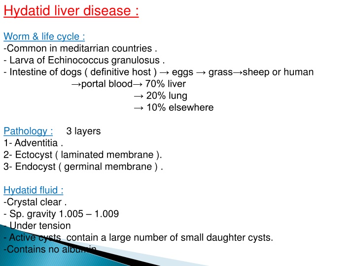 hydatid liver disease