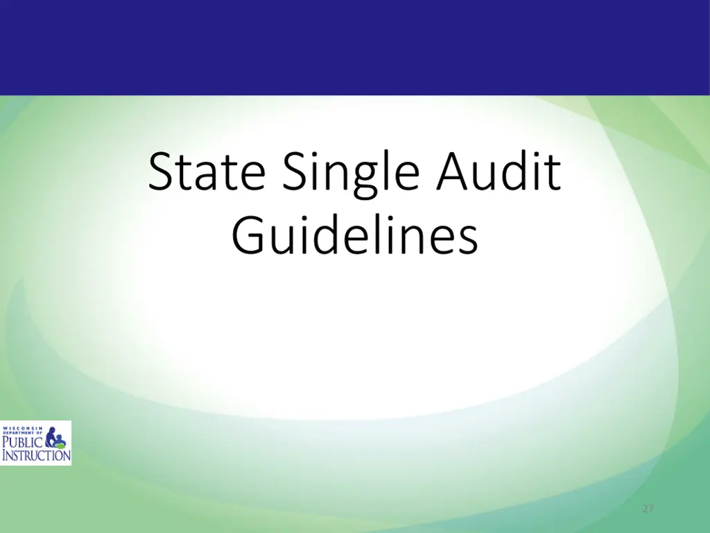 state single audit guidelines