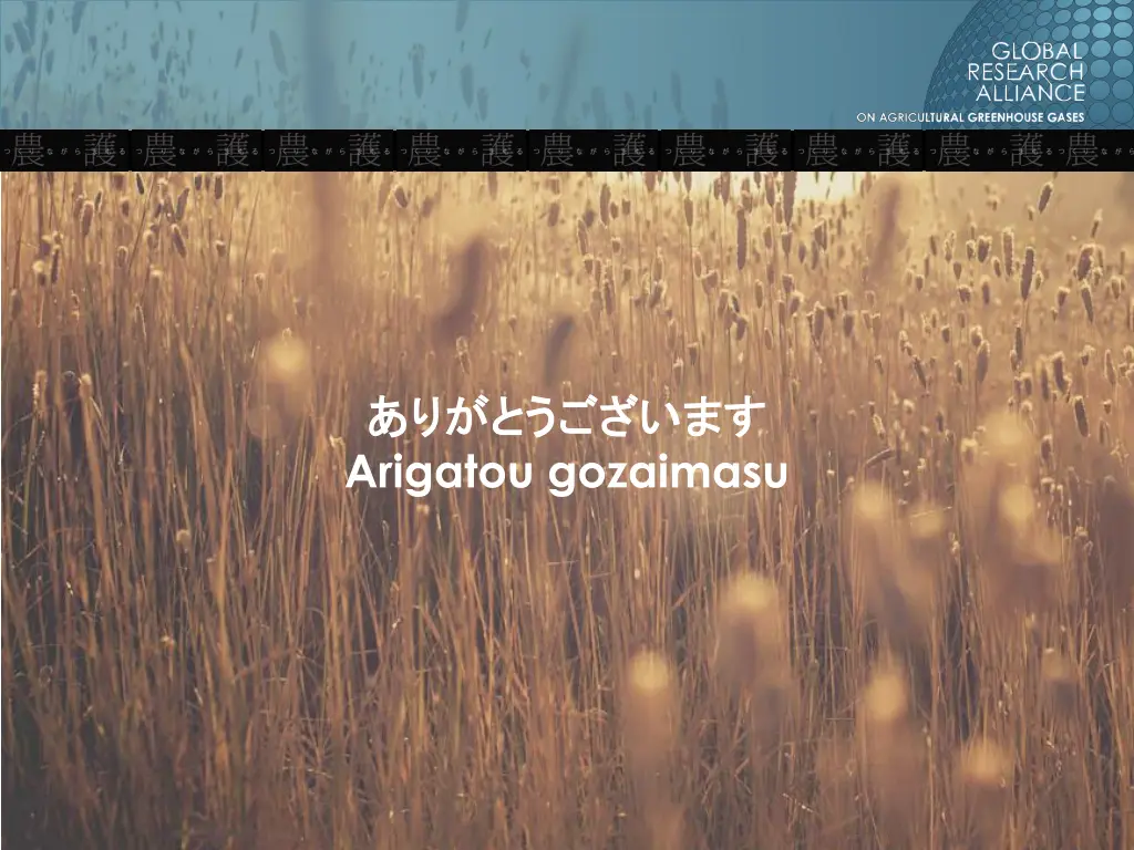 arigatou gozaimasu