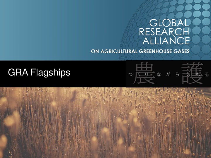 gra flagships