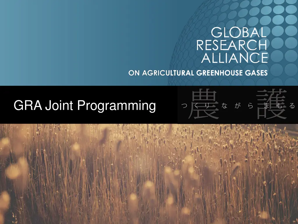 gra joint programming