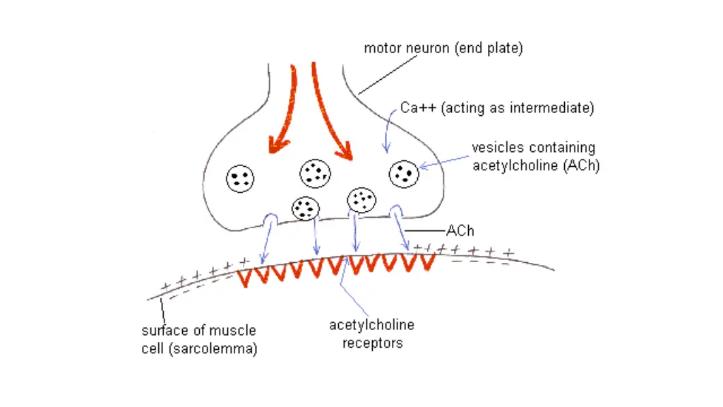 slide21