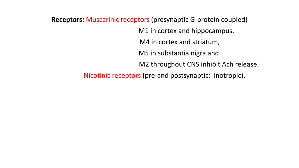 receptors muscarinic receptors presynaptic