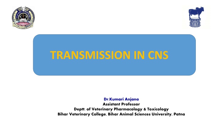 transmission in cns