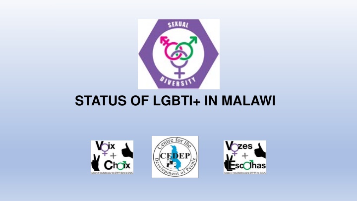 status of lgbti in malawi