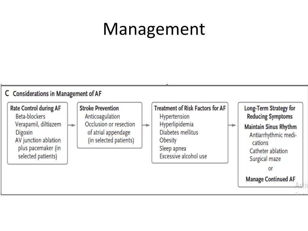 management