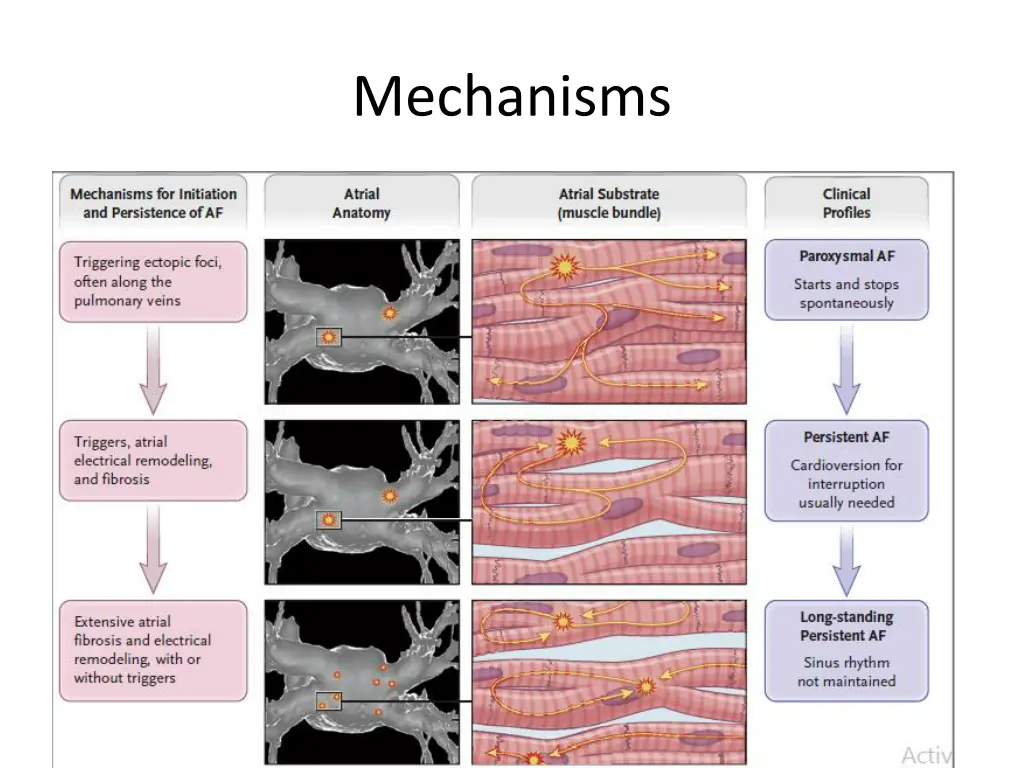 mechanisms