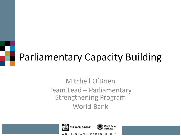 parliamentary capacity building