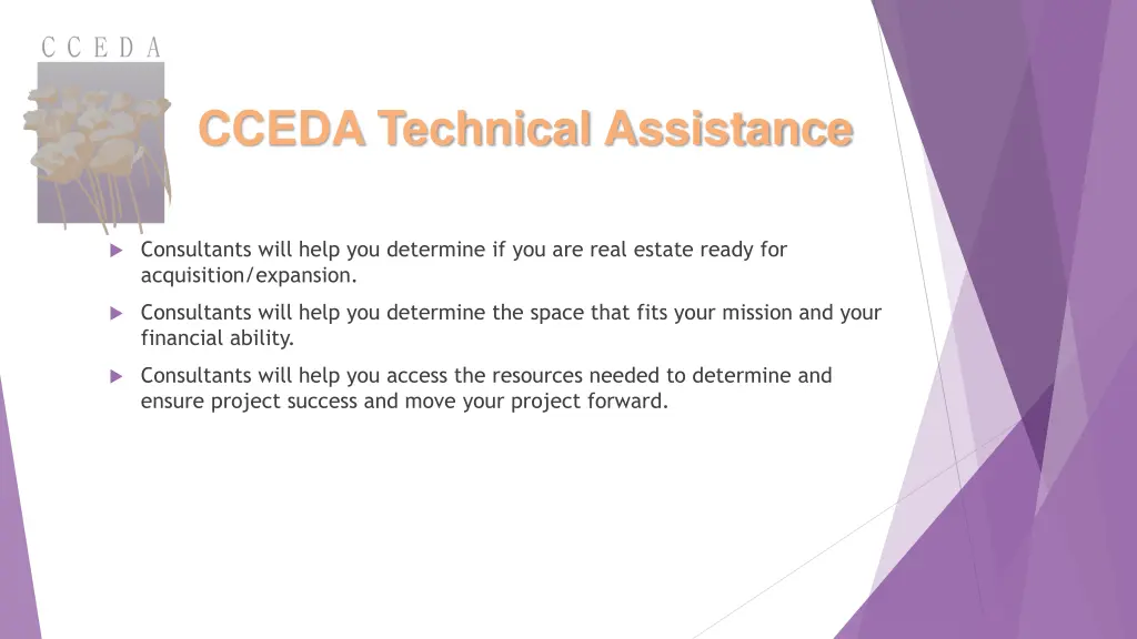 cceda technical assistance