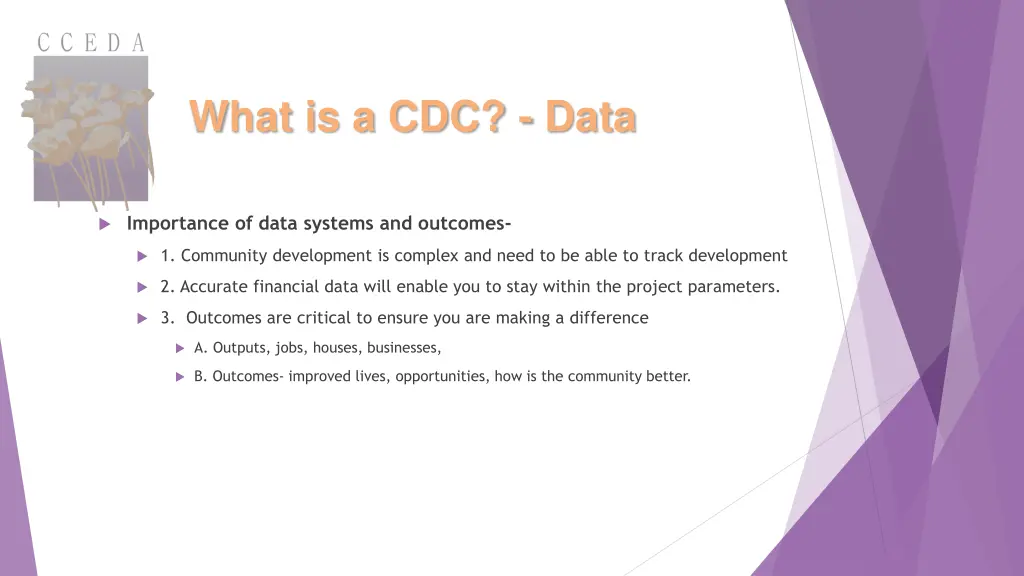 what is a cdc data