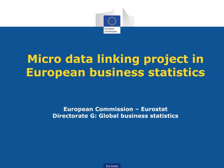 micro data linking project in european business
