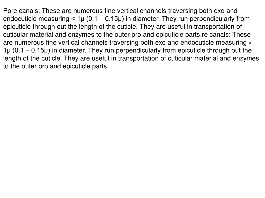 pore canals these are numerous fine vertical
