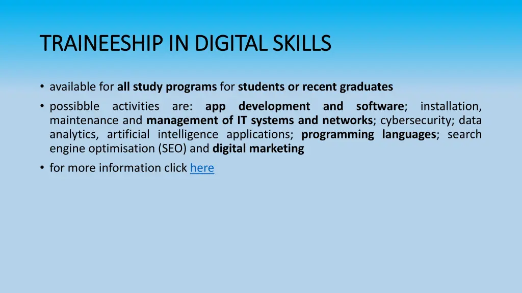 traineeship in digital skills traineeship