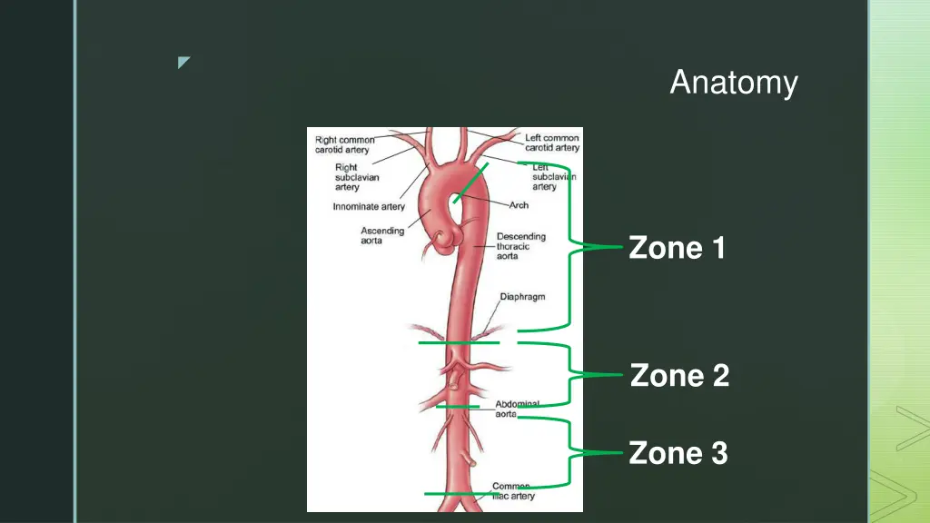 slide8