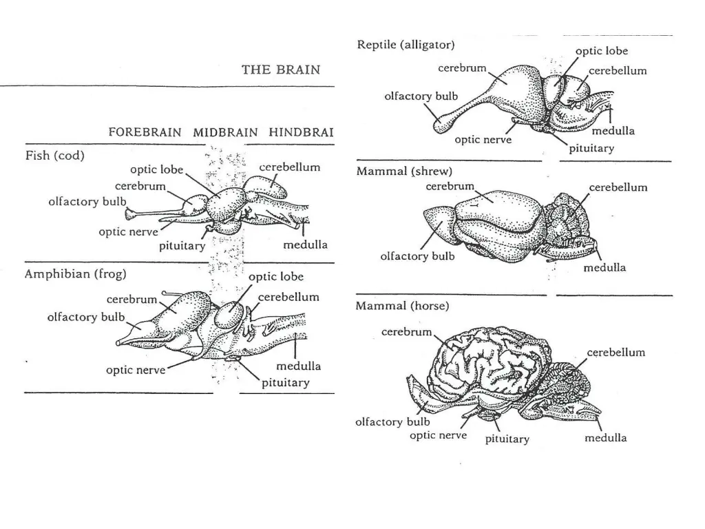 slide13
