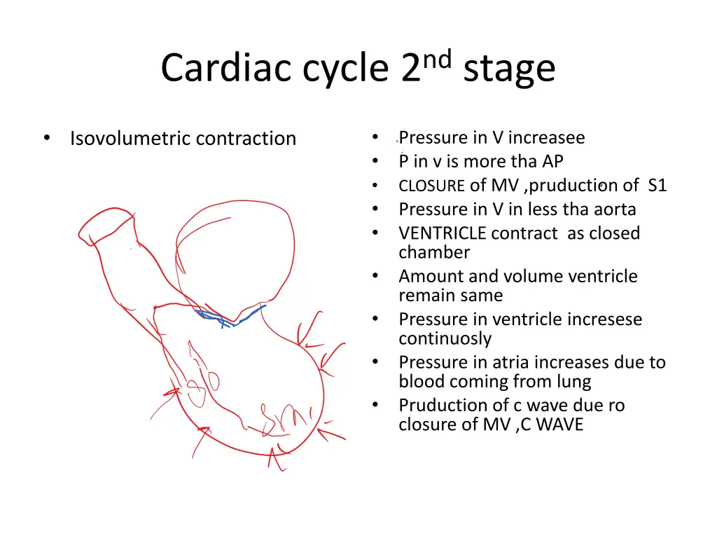 cardiac cycle 2 nd stage