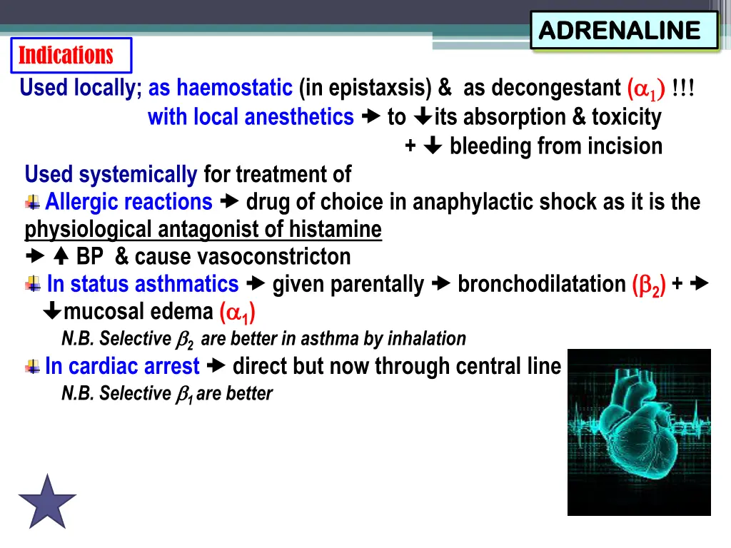 adrenaline adrenaline