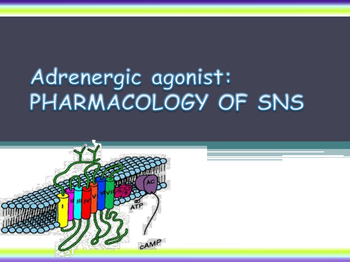 adrenergic agonist pharmacology of sns