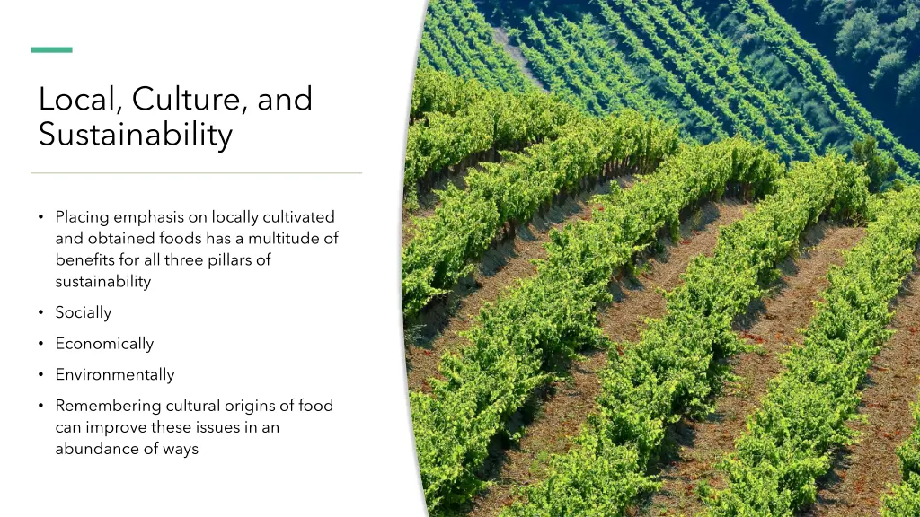 local culture and sustainability