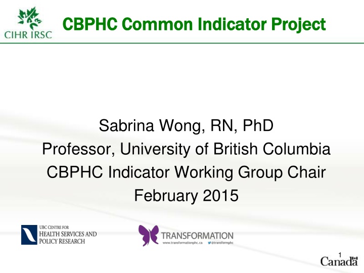 cbphc common indicator project cbphc common