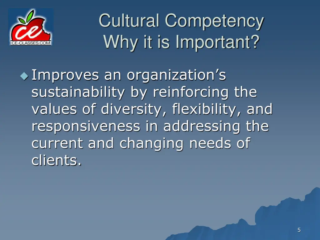 cultural competency why it is important 2